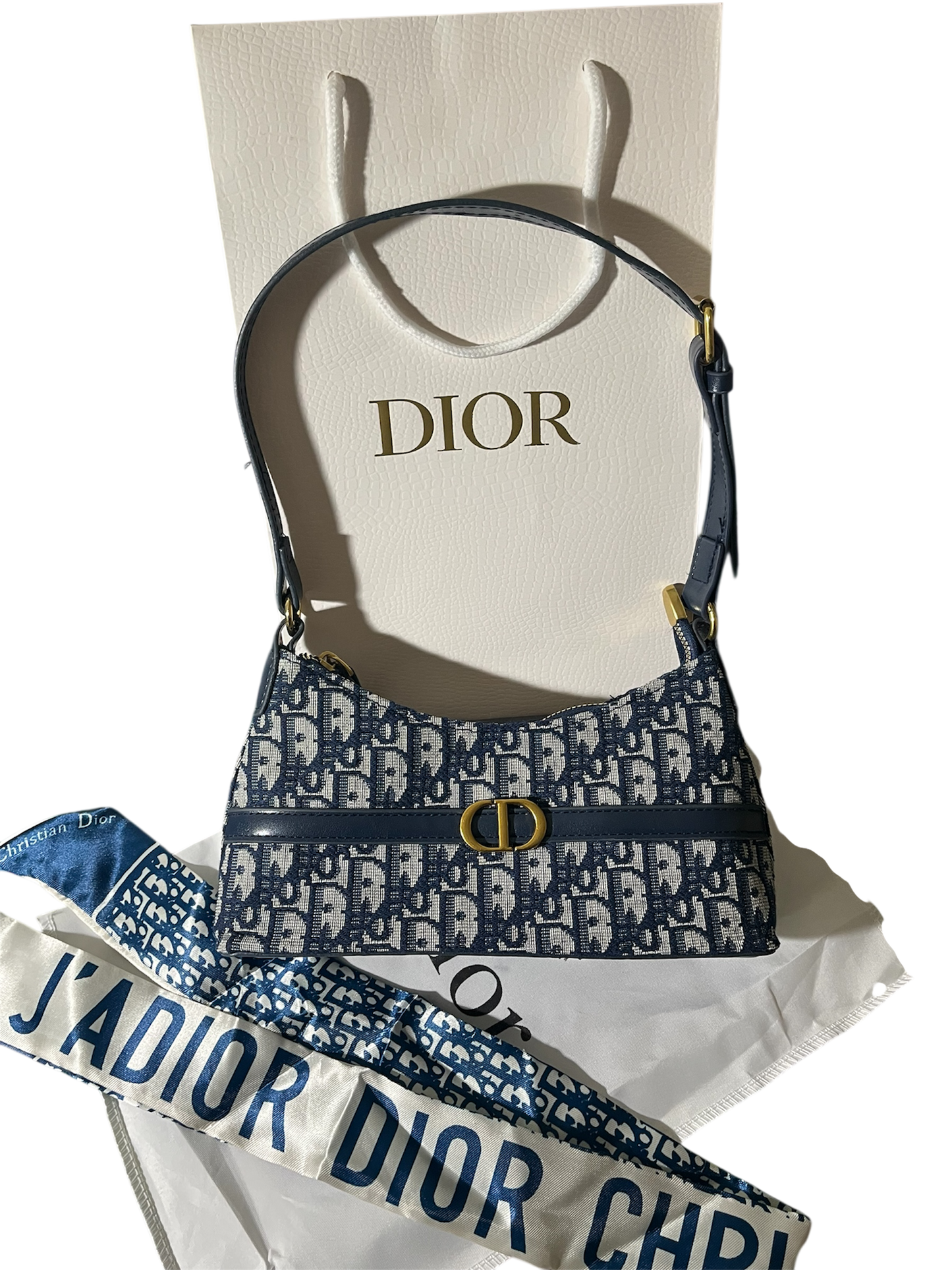 Blue Dior Oblique Jacquard 30 Montaigne Cigale Mini Bag
