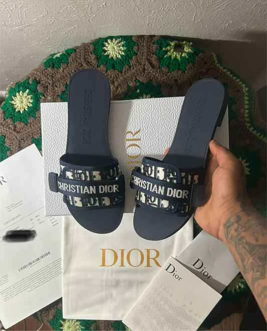 Dior Oblique Revolution Slides